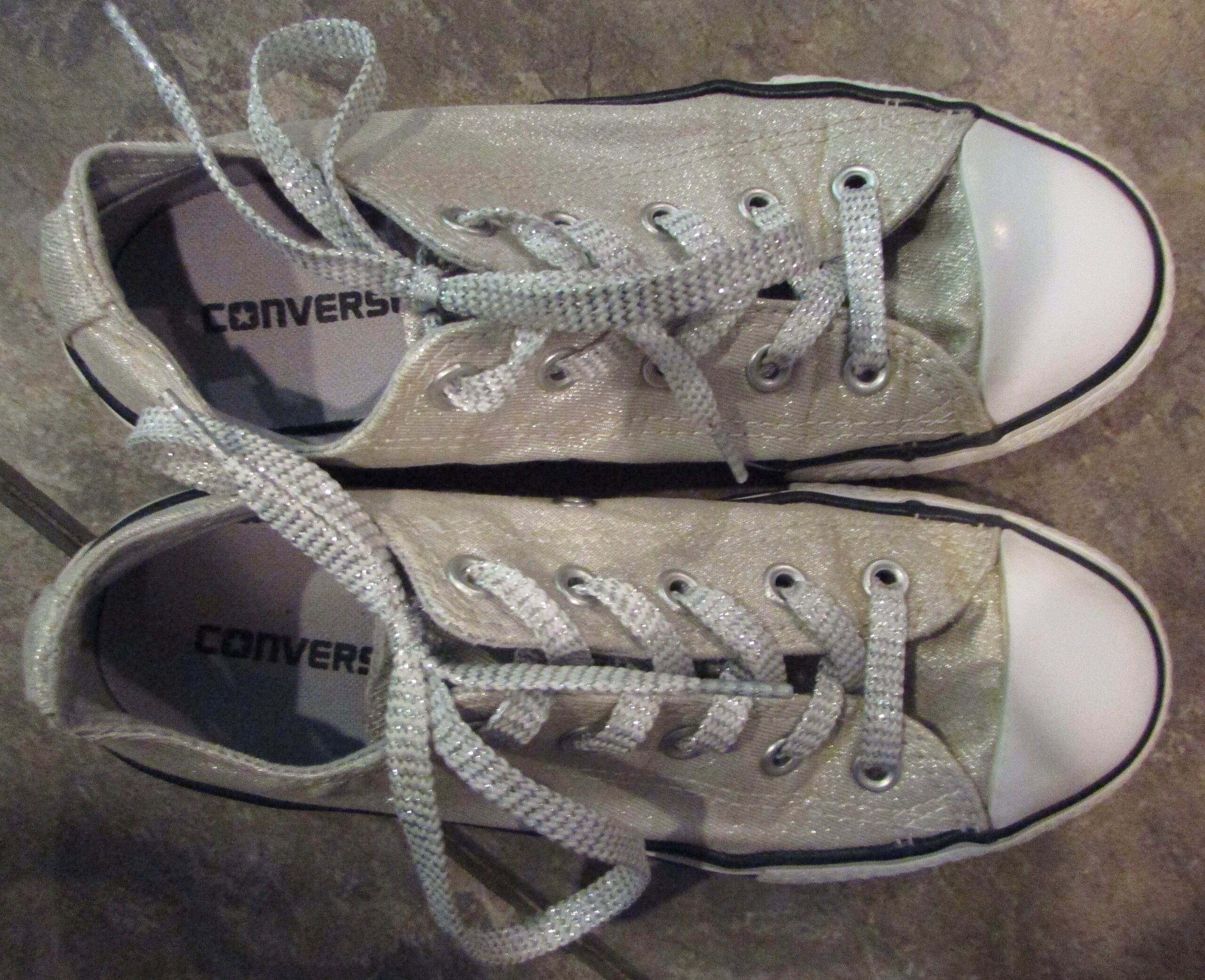 silver sneakers ct